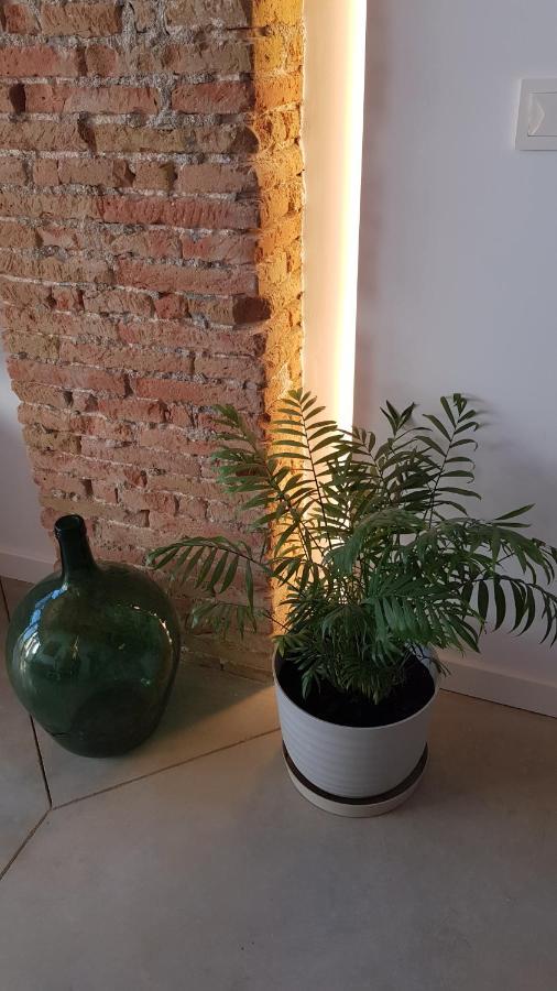 בוקאירנט Loft Mariola - Apartamento En El Centro Historico מראה חיצוני תמונה